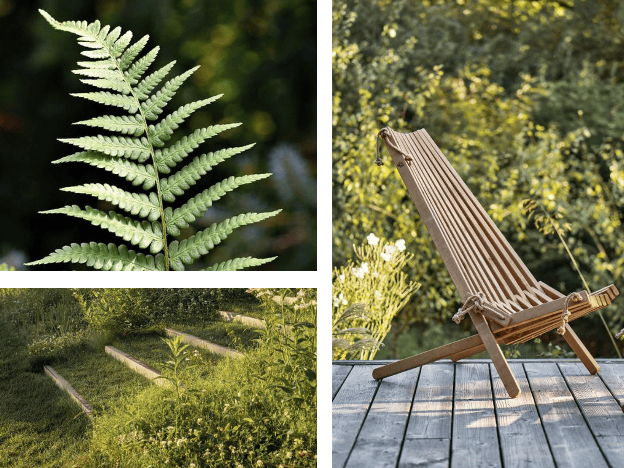 Fauteuil de jardin sur une terrasse face à la forêt