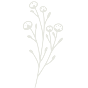 dessin fleur sauvage
