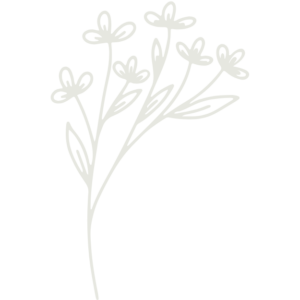dessin fleur sauvage