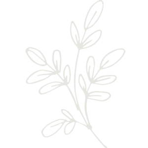 dessin fleur sauvage