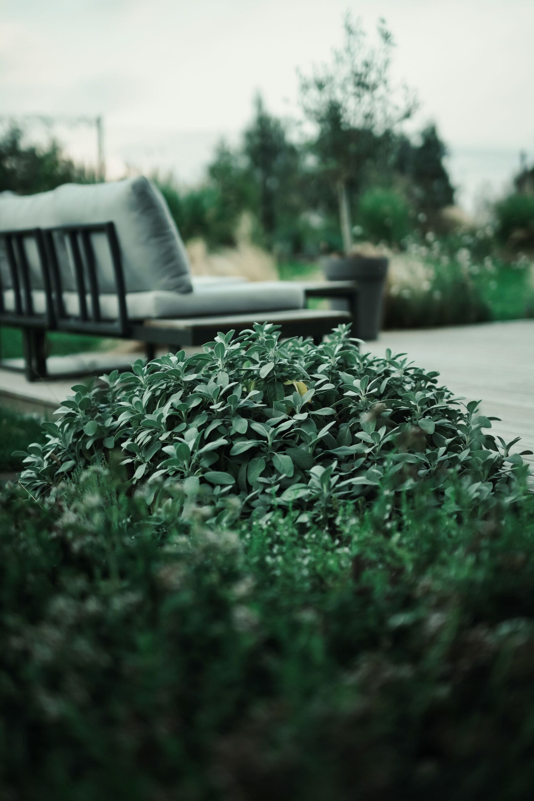 terrasse avec salon de jardin et massif planté autour
