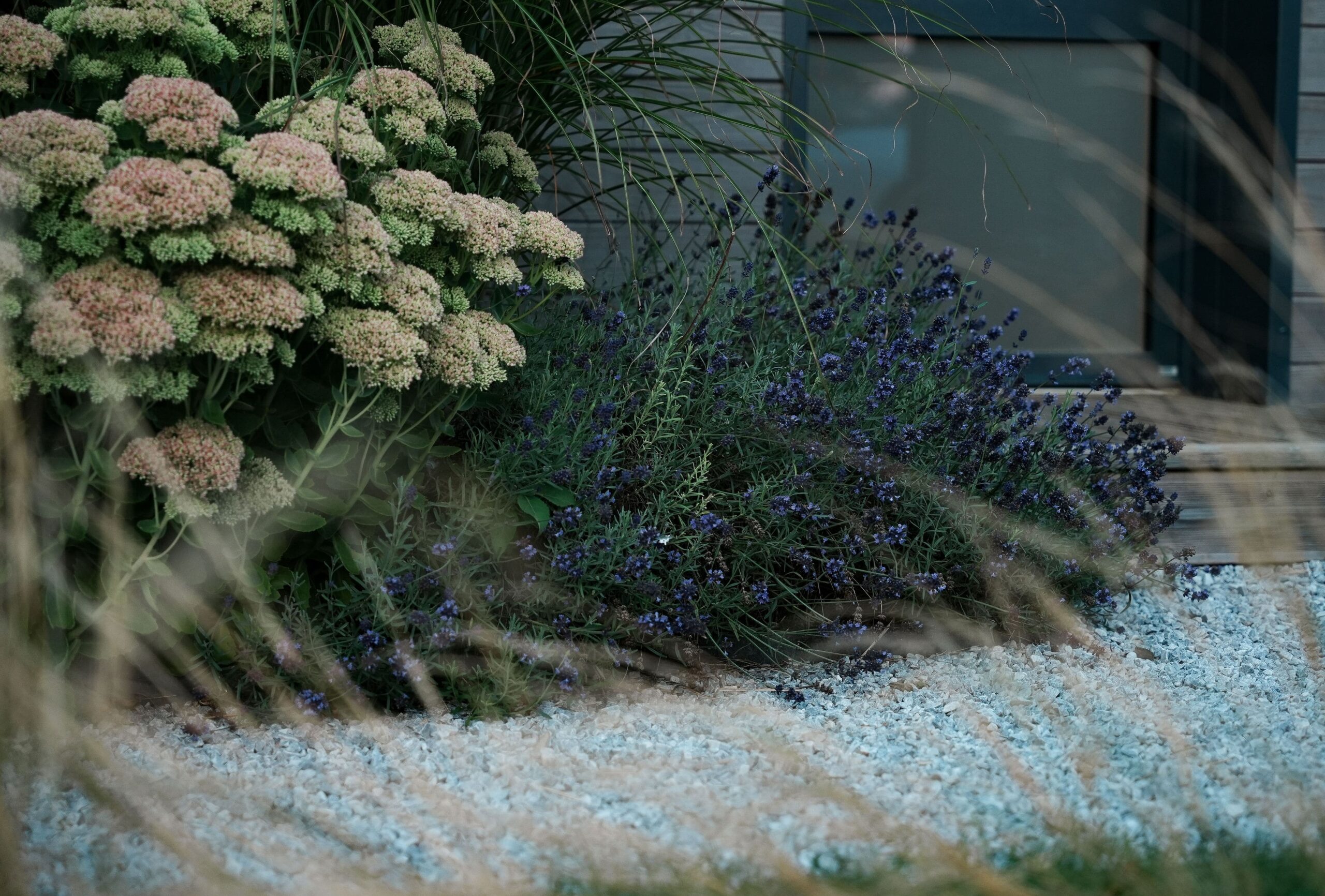massif fleuri avec cheminement en gravier