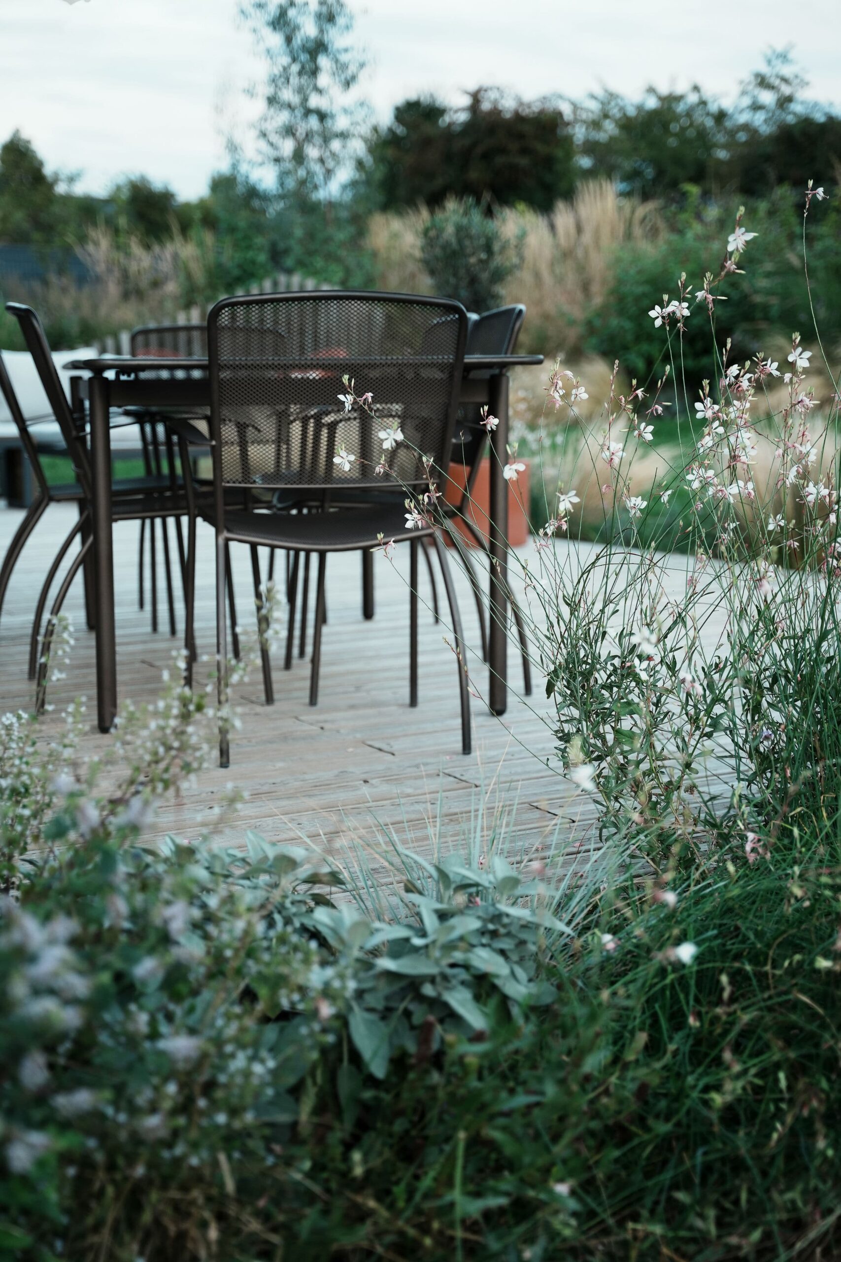 terrasse avec des plantation autour