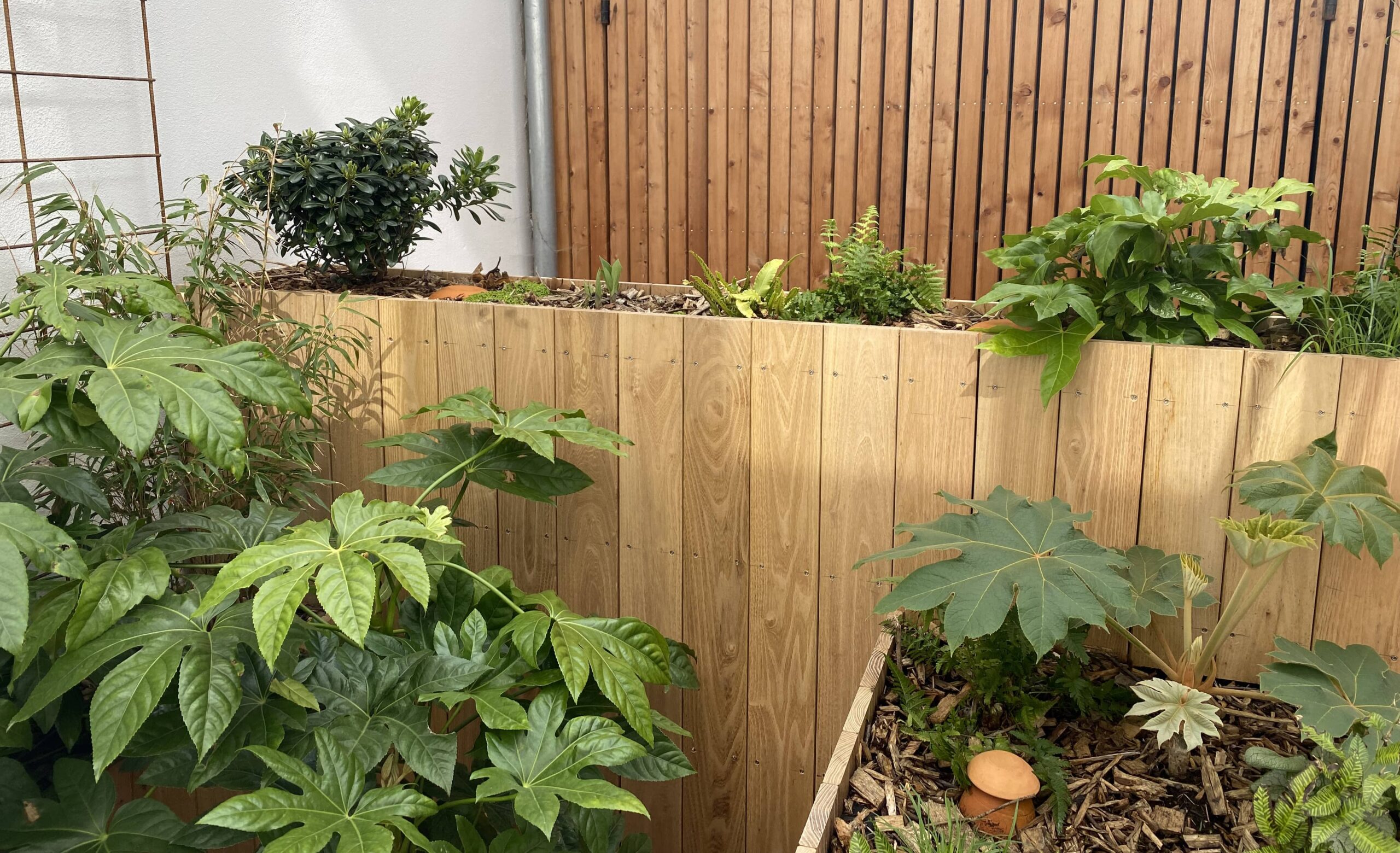 terrasse en bois jardinière planté