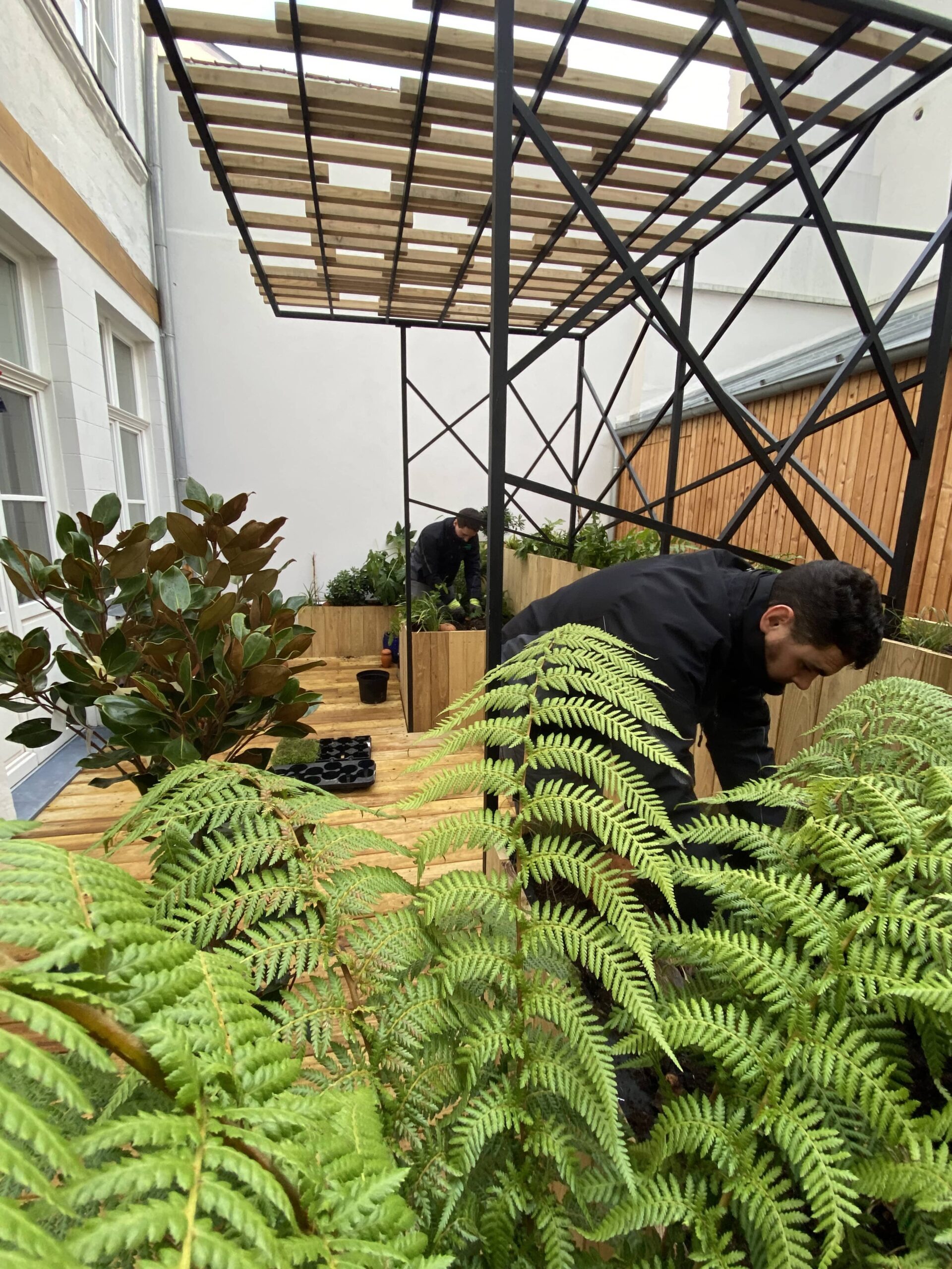 terrasse en bois avec pergola