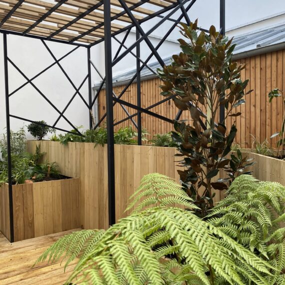terrasse en bois avec pergola et des plantation