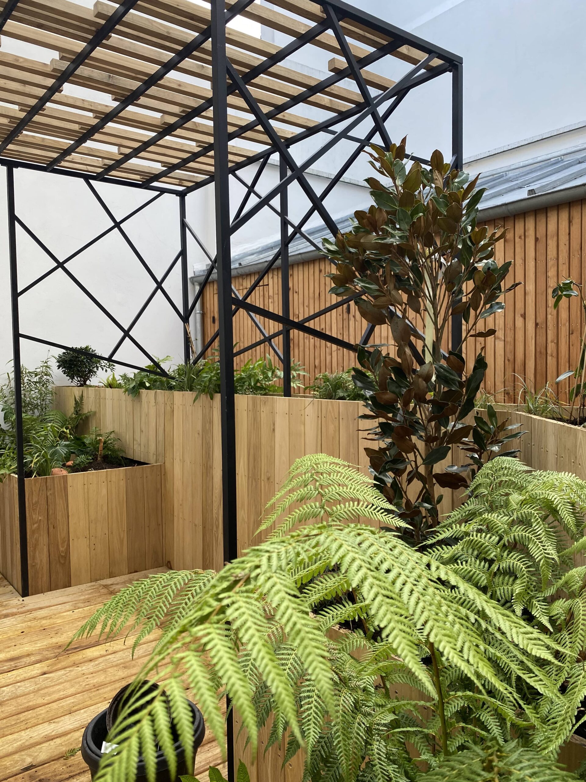 terrasse en bois avec pergola et des plantation