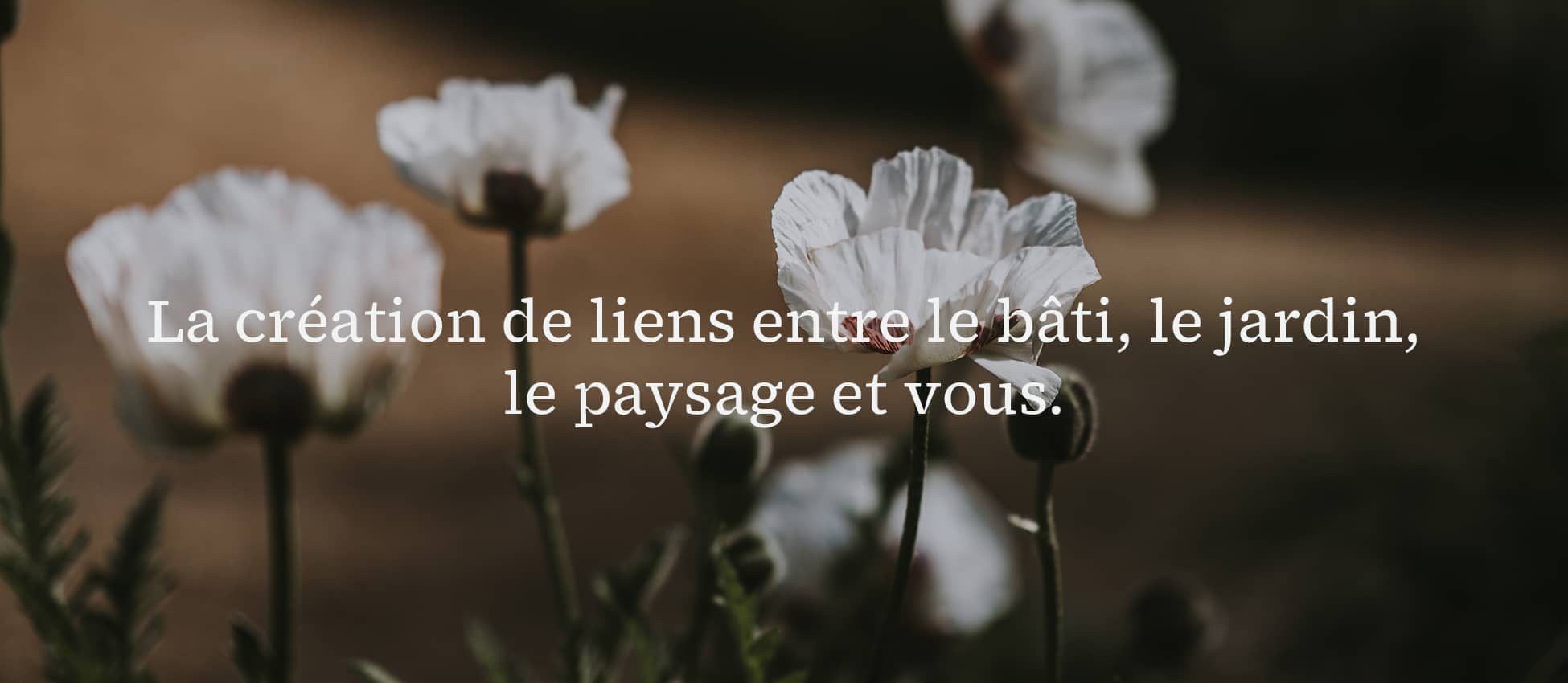 conception-jardin-lille 3