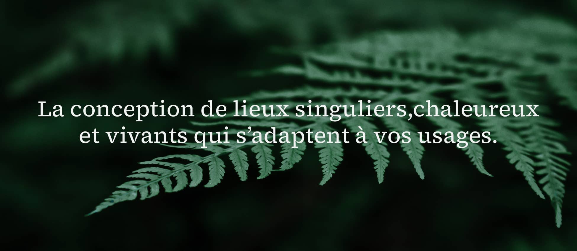 conception-jardin-lille 4